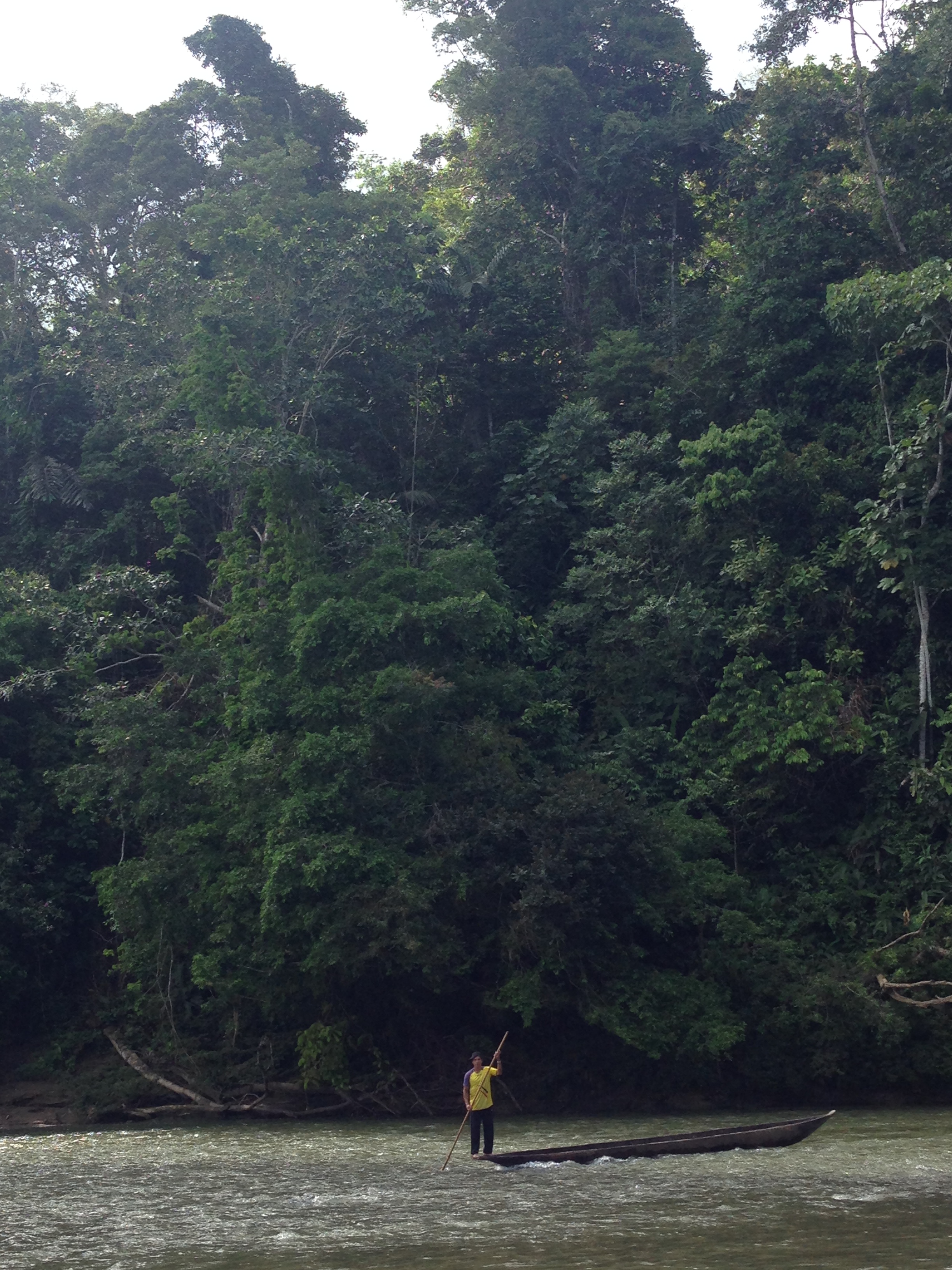 Navigation with a pole