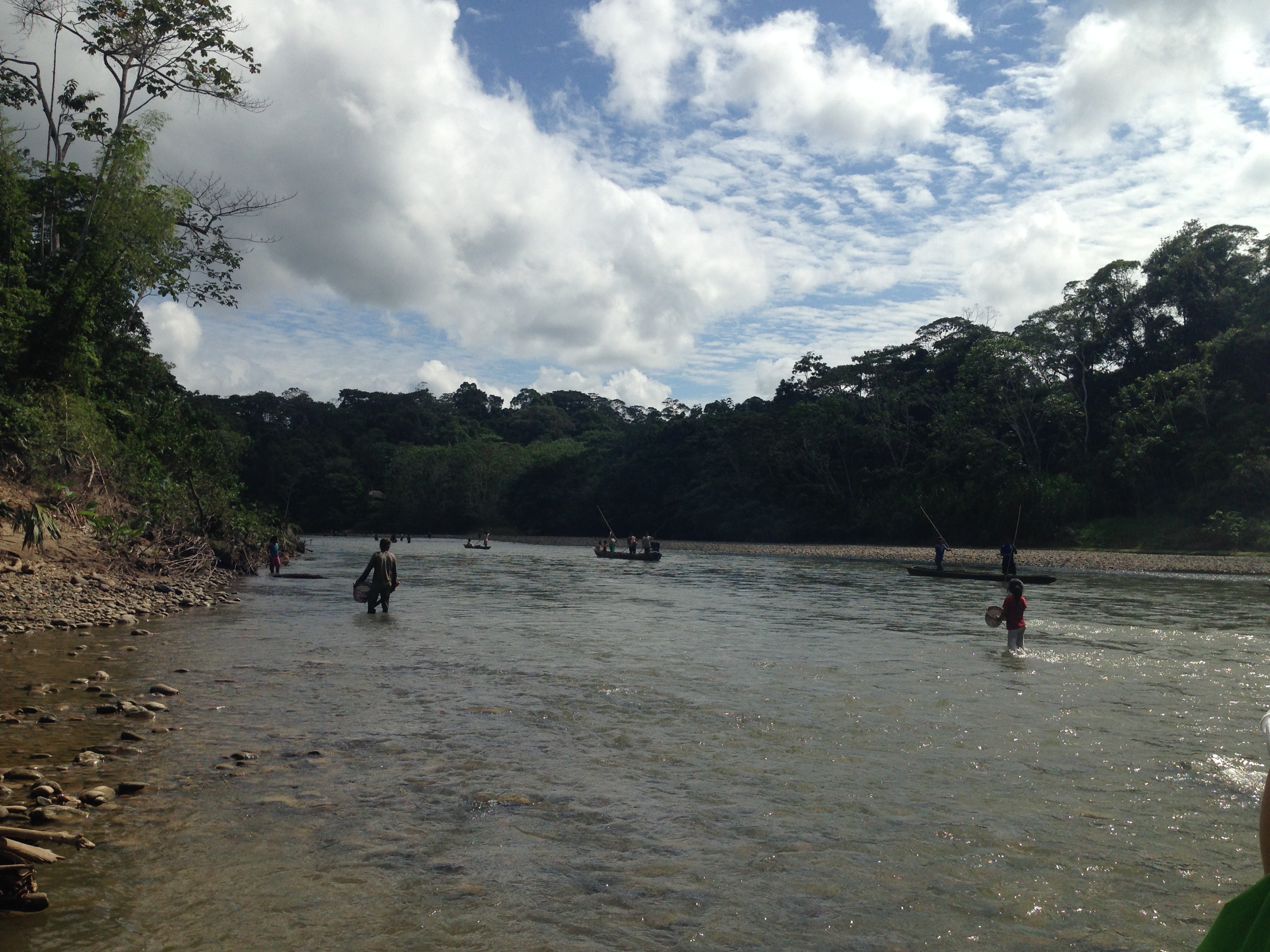 Wading in shallows for fish