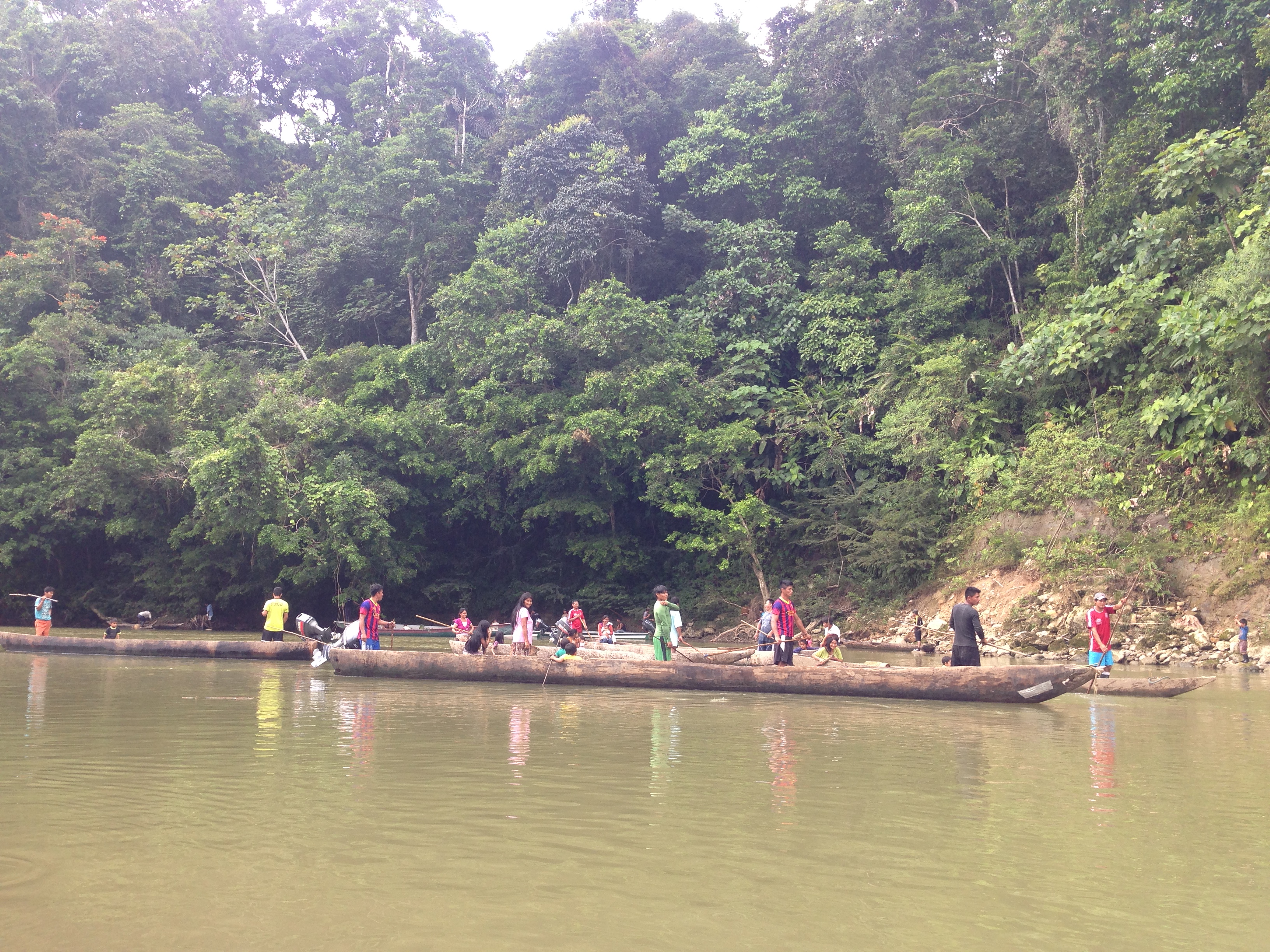 Barbasco fishing in Sarayaku