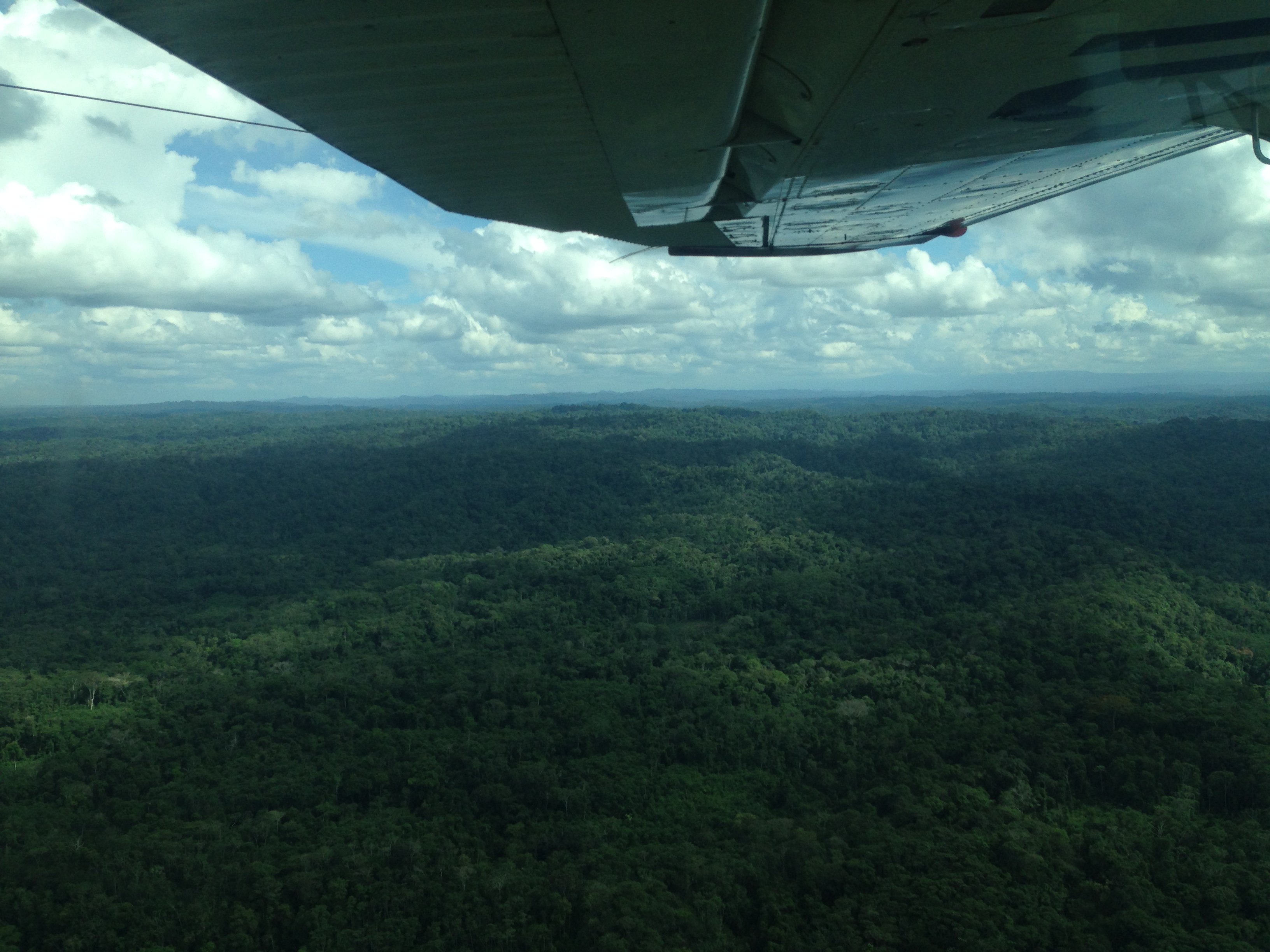 View of virgin forest from Alas de Socorro plane